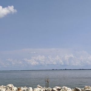 Meet your Posher, Jessie